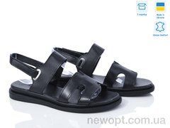 G-Aira 615 ч.ш., 6, 36-40