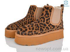 Мир 4224-5854-13 camel, 6, 36-41