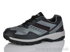 Ditof HA2308-1, 8, 41-45