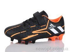 ASHIGULI C09-3, 12, 31-36