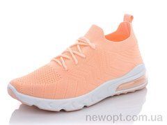 Princess 120-102, 8, 37-41