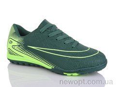 ASHIGULI 253s, 8, 33-38