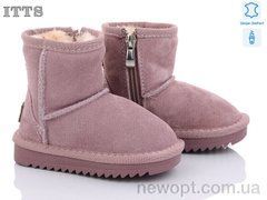 ITTS 7801-14, 6, 22-26
