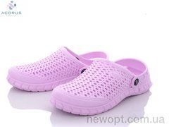 Acorus C62 фиолет., 12, 36-41