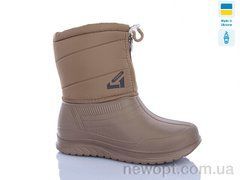 DeMur 391-1DB, 6, 36-41