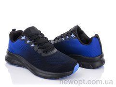 Violeta 24-152 blue, 8, 40-45