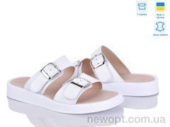 Ailinda 313-8, 6, 36-40