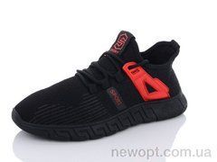 SANLIN 309, 8, 39-44