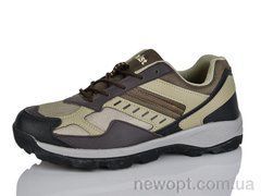 Ditof HA2308-2, 8, 41-45