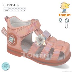 TOM.M C-T9964-B, 8, 21-26