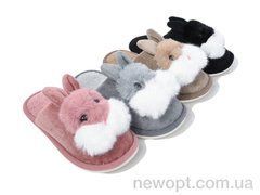 Lion-Lu L844 mix, 12, 36-41