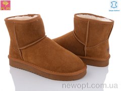 PLPS 5854-8 camel, 6, 41-45