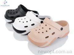 Acorus 24-116 mix, 12, 36-41