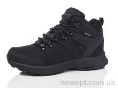 Boteli A353-1, 8, 41-46