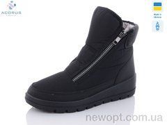 Acorus 1771, 9, 37-42