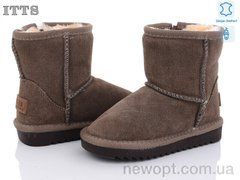 ITTS 7805-12, 6, 26-31