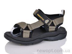 TOM.M 11597H, 8, 33-38