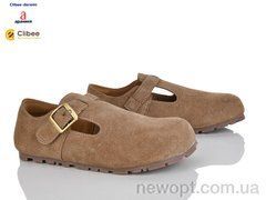 Clibee-Doremi AB1023 camel, 8, 30-37