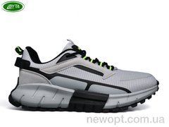 Bayota A1156-11, 8, 41-45