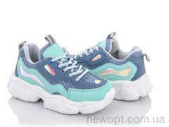 Alemy Kids AED5381Z, 365.00, 8, 26-31