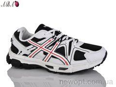 Aba A1ABA131-5, 8, 41-45