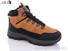 Aba 578-12, 8, 41-46