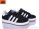 LQD W716-1, 8, 36-41