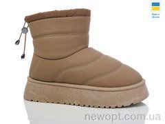 Swin 2507-2, 10, 36-41