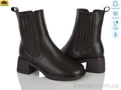 Mei De Li M159-66, 6, 36-40
