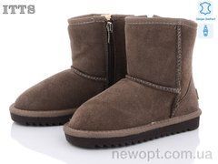 ITTS 7808-12, 6, 31-36
