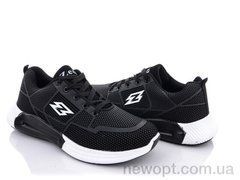 BULL DA2556-2, 8, 41-46