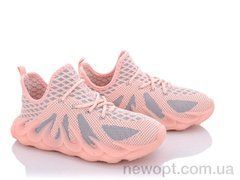 Alemy Kids MB5551E, 220.00, 12, 31-36