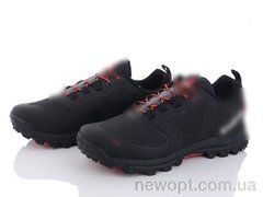 Violeta AA4005-3, 8, 40-45