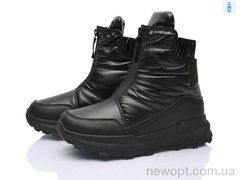 Loretta M301, 8, 36-41