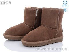 ITTS 7808-15, 6, 31-36