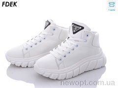 FDEK 103W, 8, 36-41