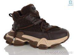 Teetspace-Trasta-Egga WMP1125-33, 6, 36-40