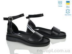 Fat Fox-Tamei 1226-12, 8, 36-41