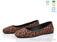 Royal-shoes 30 лео, 6, 36-41