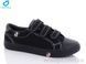 Comfort-baby 289-2, 5, 36-39