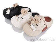 Lion-Lu 2516-5 mix (24), 24, 35-40