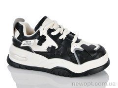 DINO ALBAT 197-163 black, 8, 36-40