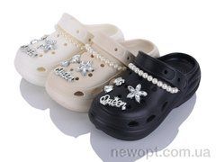 Alimama-Girnaive 8120 mix, 24, 36-40