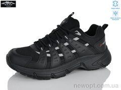 Baas L1905-1, 8, 37-41