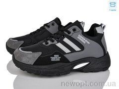 Xifa 913-001, 8, 41-45