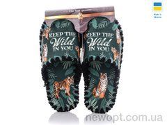 Active 7-155, 10, 40-45