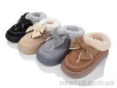 Lion JHA2 mix, 24, 36-41