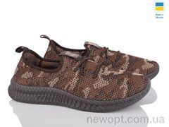 Favorit K221-17, 10, 41-45