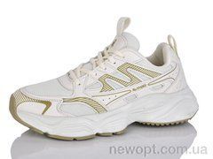 Ditof HA0067-2, 8, 41-45