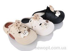 Lion-Lu 2516-5 mix (12), 12, 35-40
